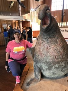 Cheryl and elephant seal