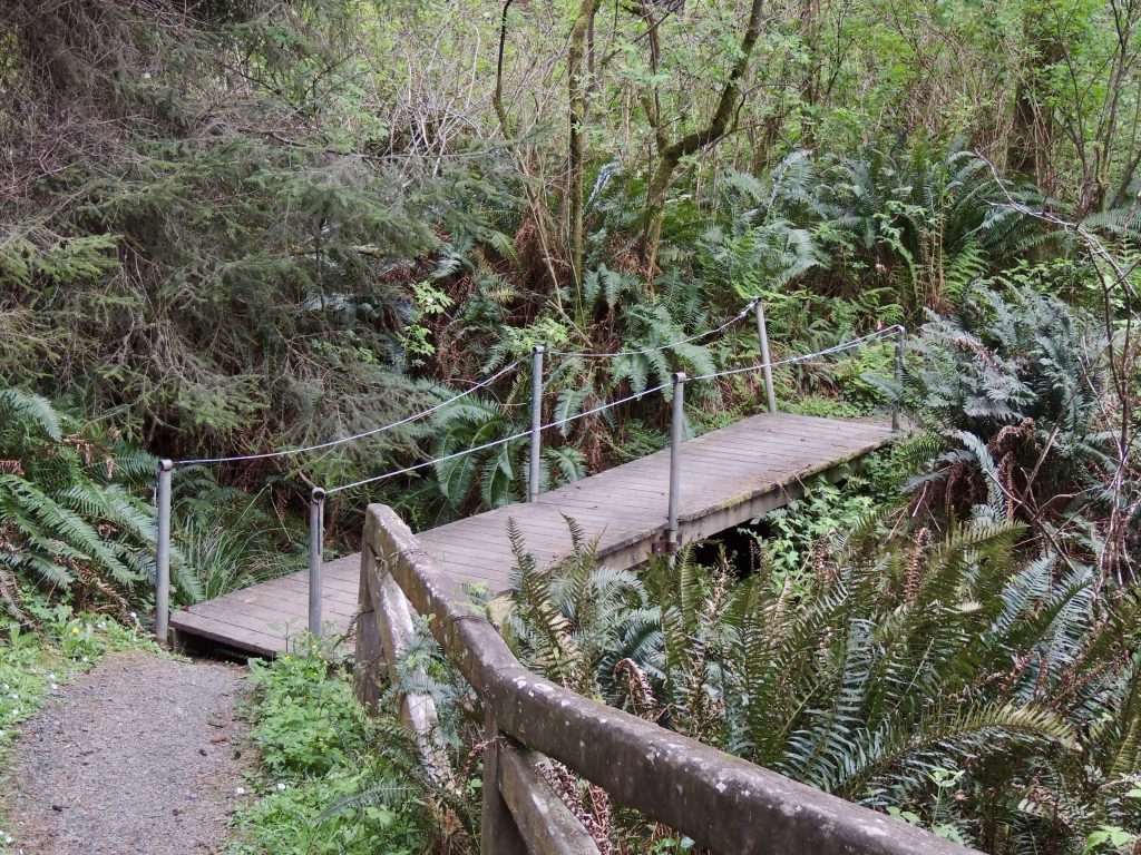 Bridge across Penn Creek near Campfire Center