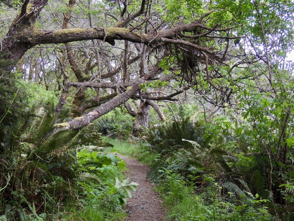 Near southwestern end of Rim Trail