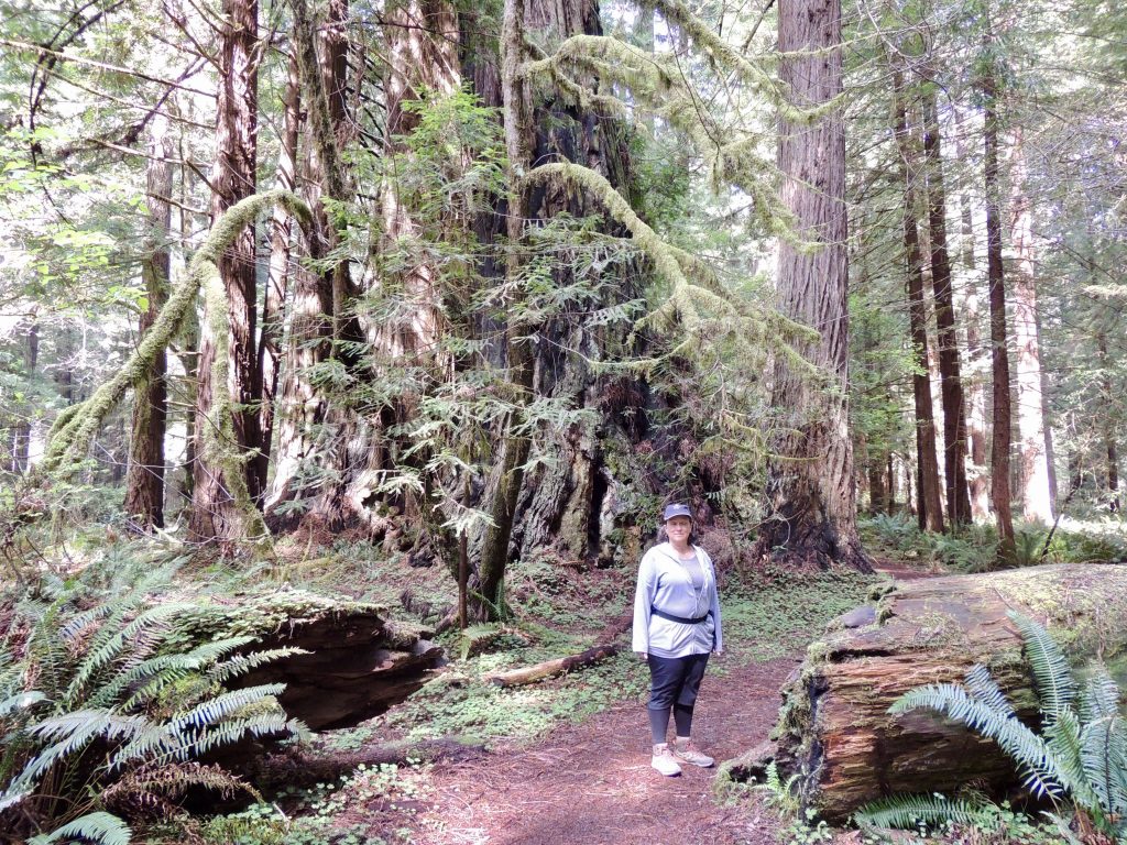 Cheryl on the Foothill Trail