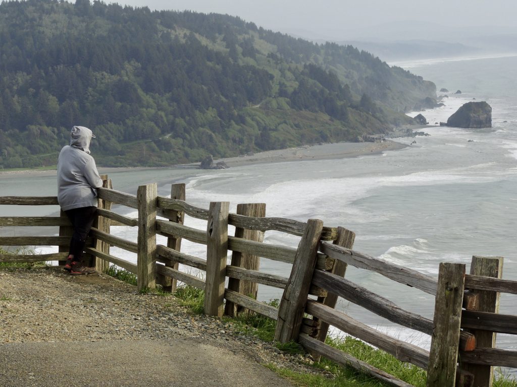 View from the Klamath River Overlook