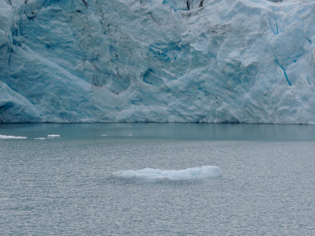 Ice calved from Portage Glacier