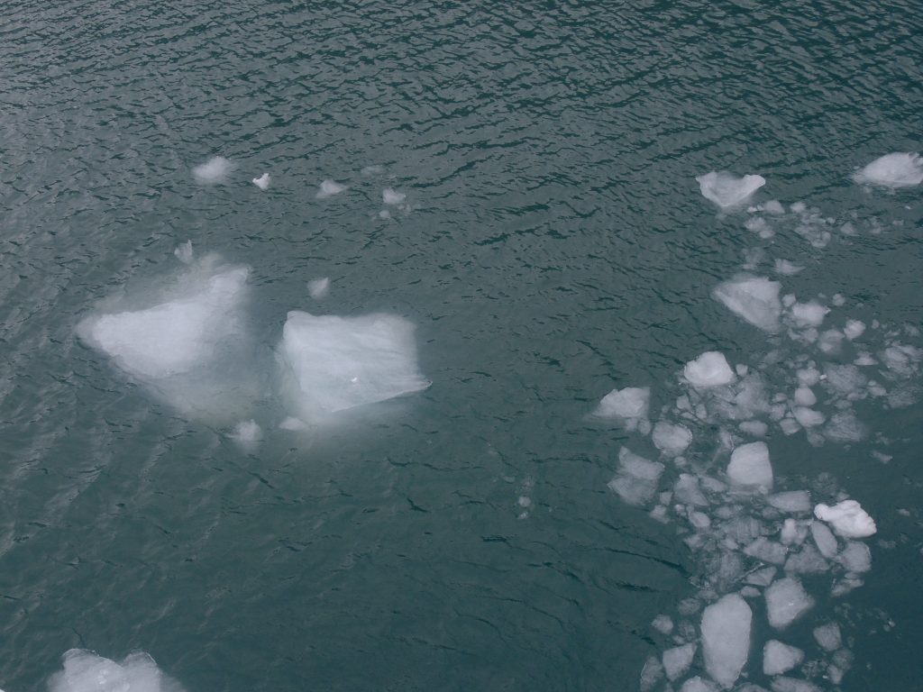 Ice chunks (growlers) from Portage Glacier