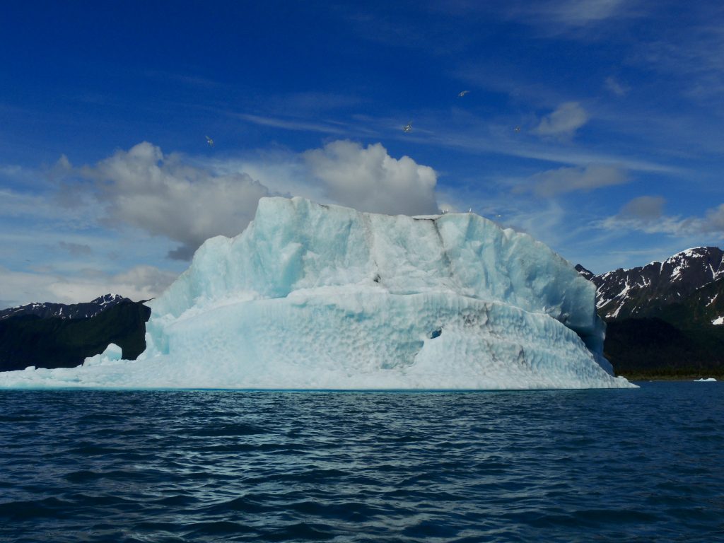 Another huge iceberg