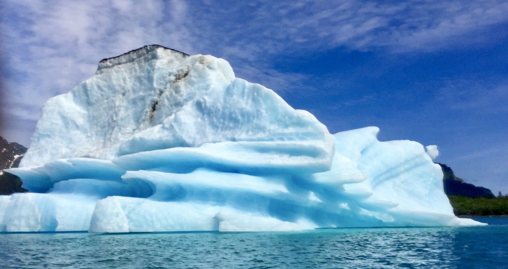 We paddled nearby this bona fide iceberg.