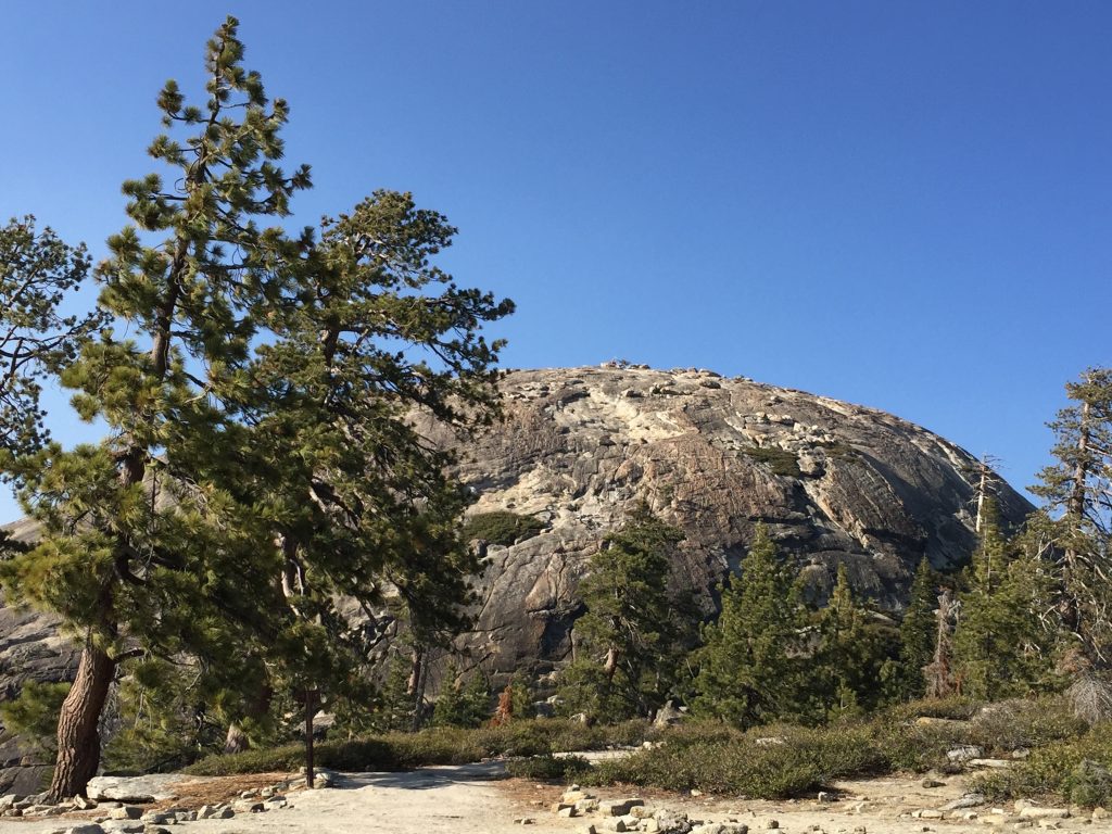 Sentinel Dome