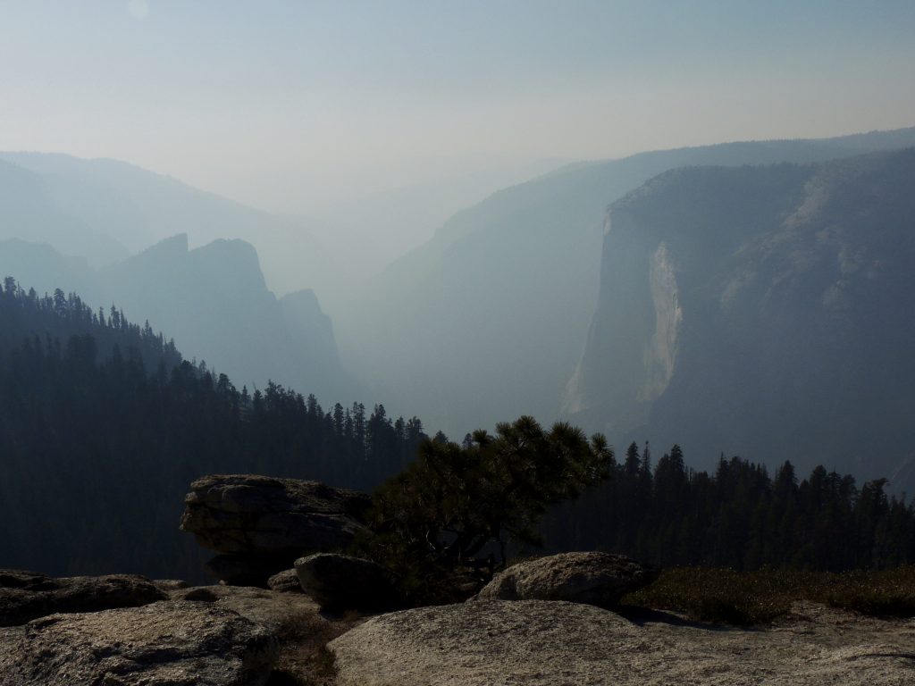 El Capitan from Sentinel Dome