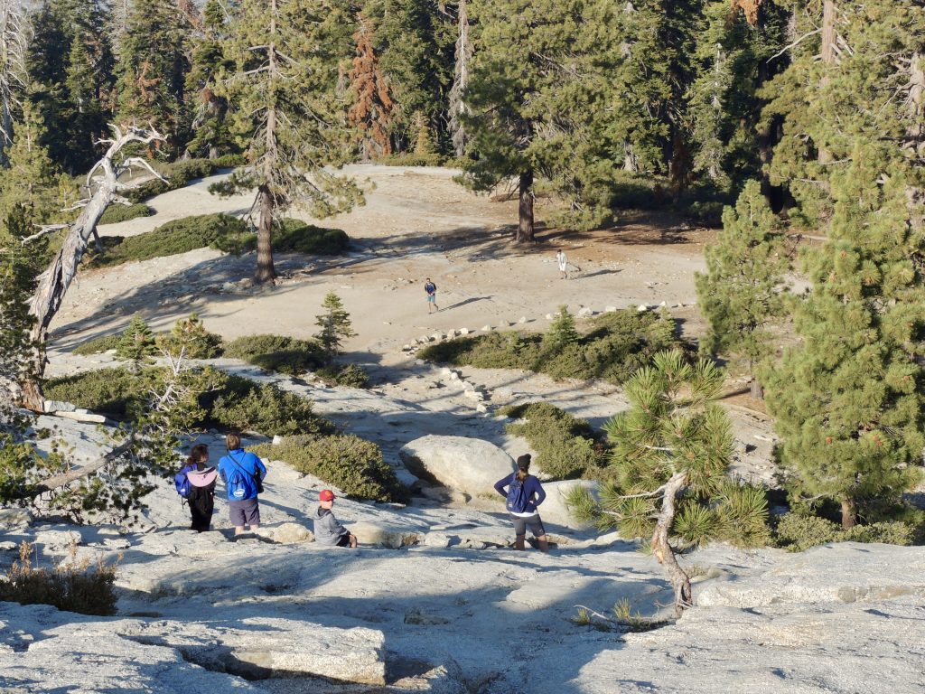 Trail up Sentinel Dome