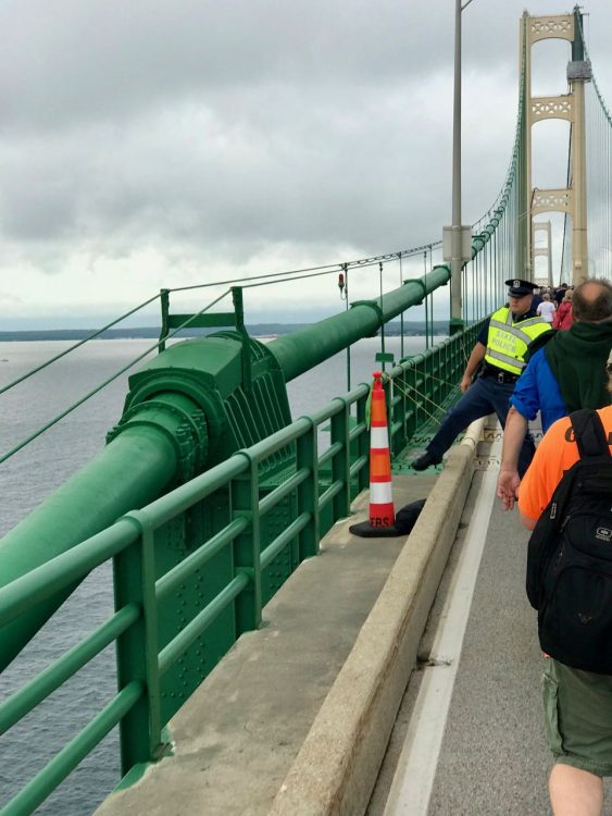 Cable-bent pier