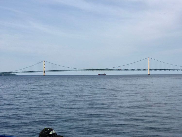 A bulk carrier cargo ship passes under the Bridge