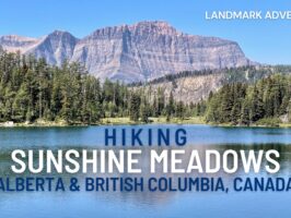 Hiking in Sunshine Meadows (video)